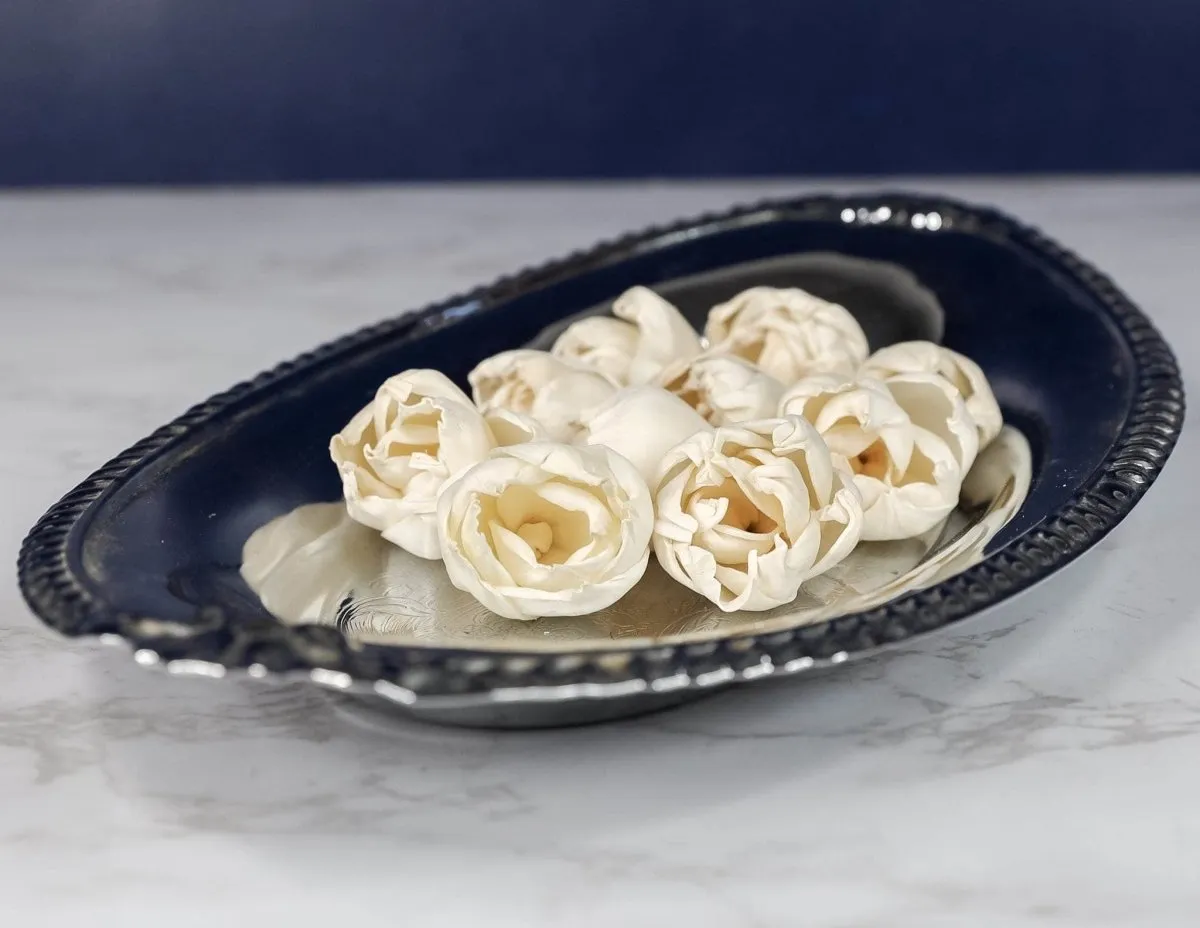 1.5" Precious Tulip (10 pack)