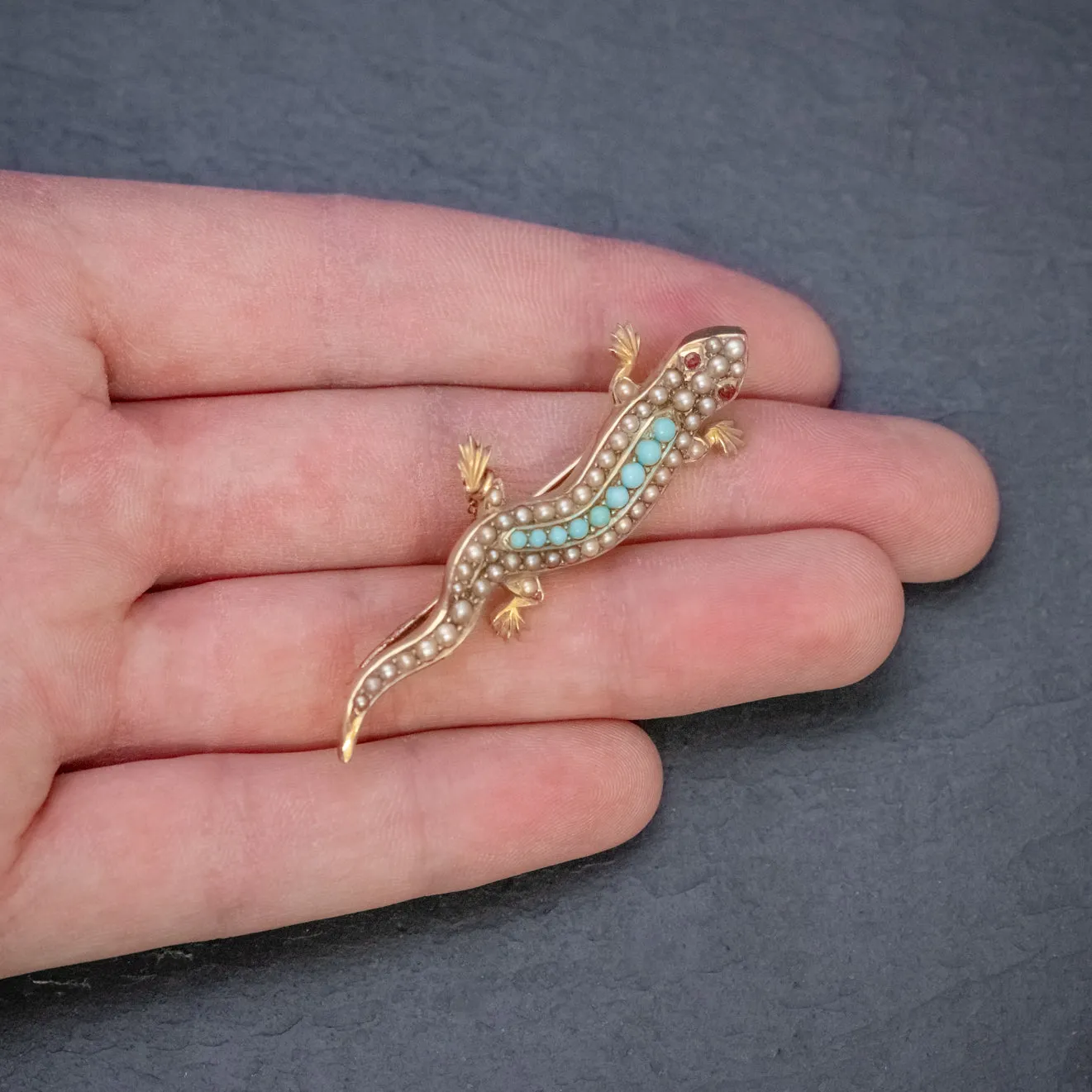 Antique Victorian Turquoise Pearl Salamander Brooch 15Ct Gold Circa 1890