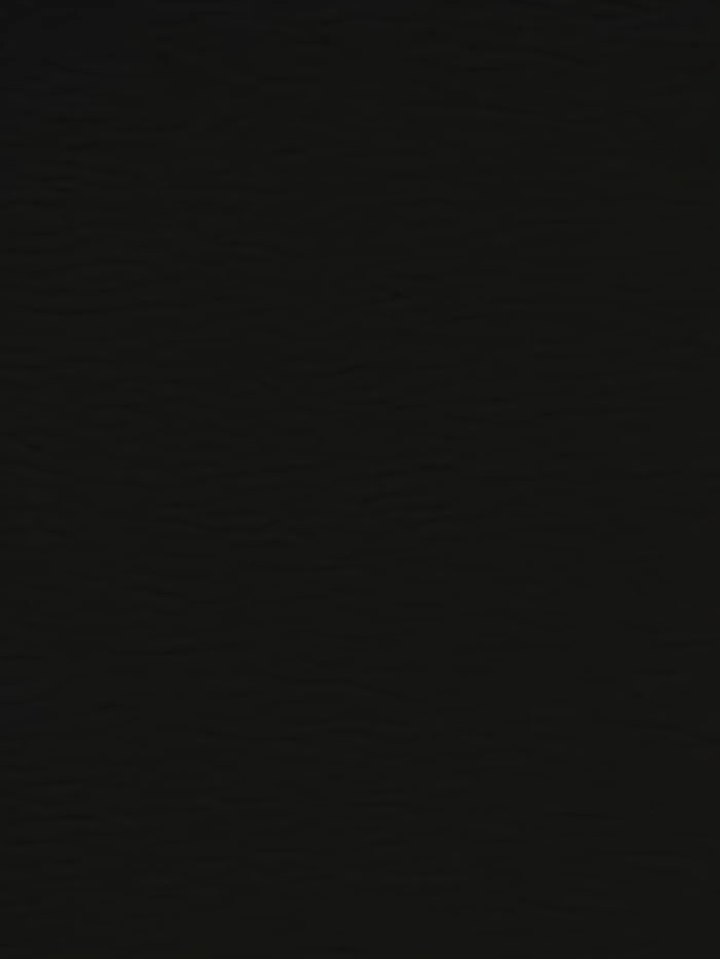 Black Premium Auto & Contract Vinyl - Palma Vinyl