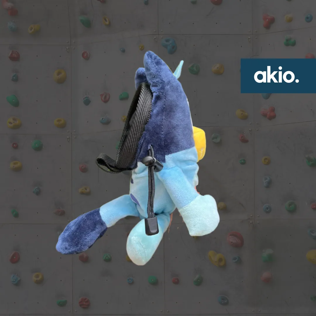 Bluey Chalk Bag
