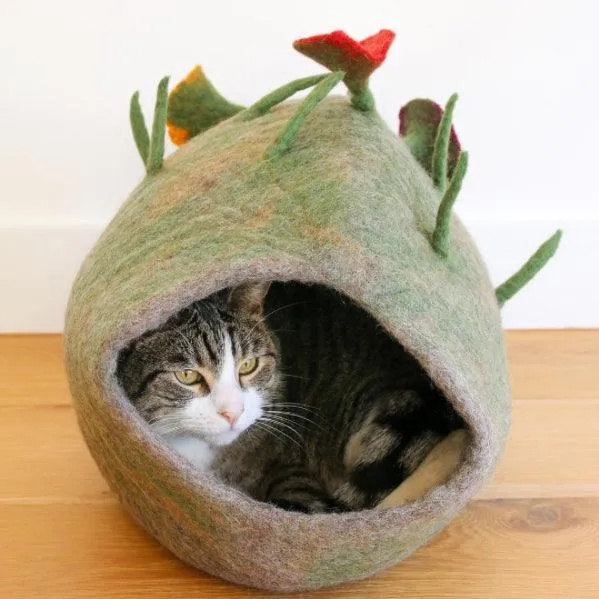 Cat Cave - Green Forest