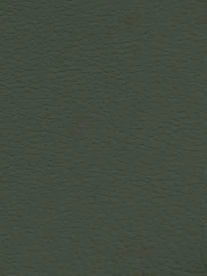 CHARCOAL Premium Auto & Contract Vinyl - Palma Vinyl