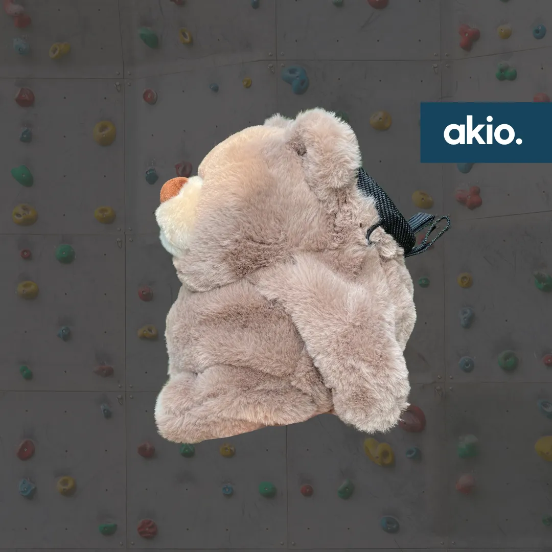 Chonky Teddy Bear Chalk Bag