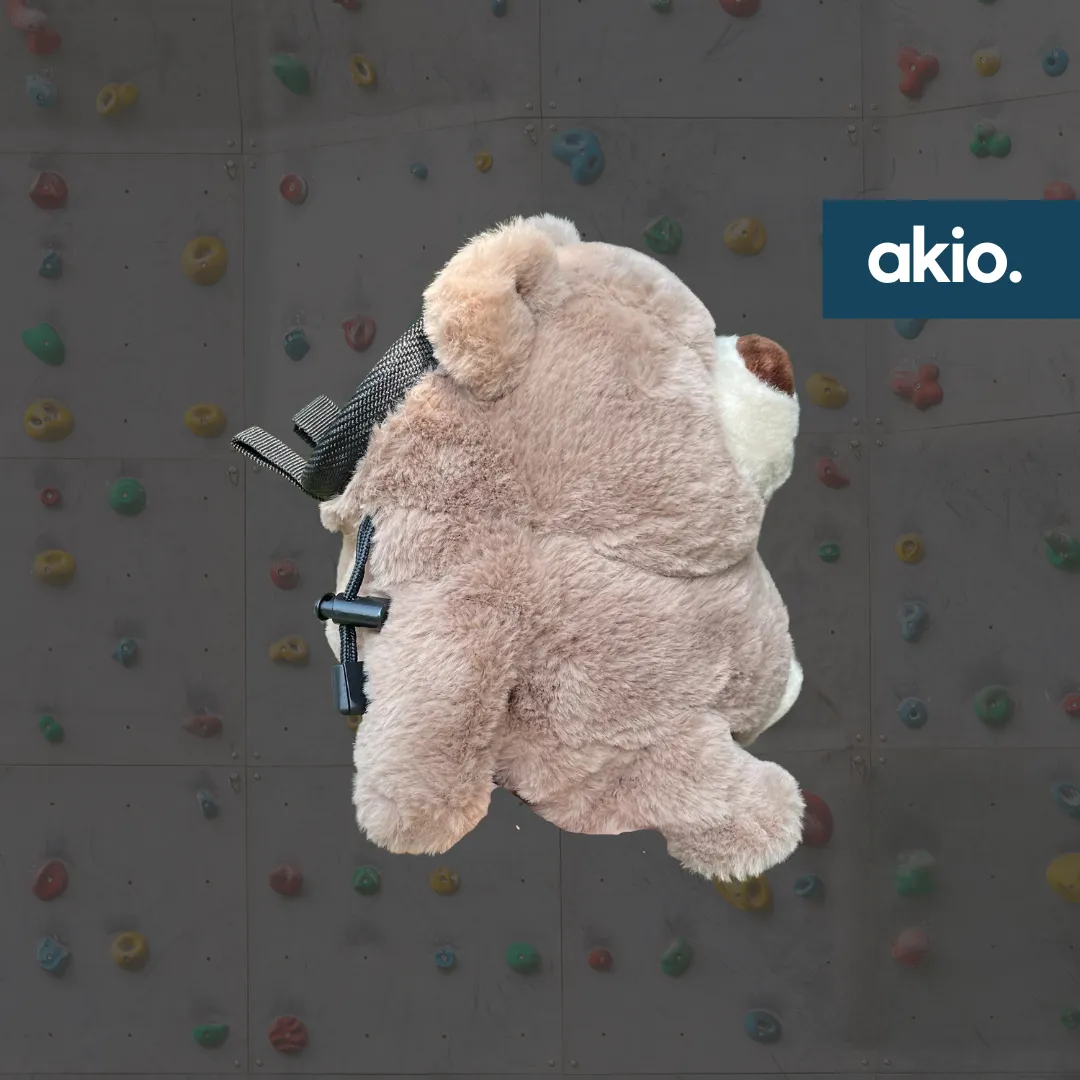 Chonky Teddy Bear Chalk Bag