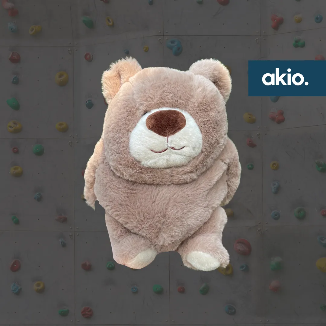 Chonky Teddy Bear Chalk Bag