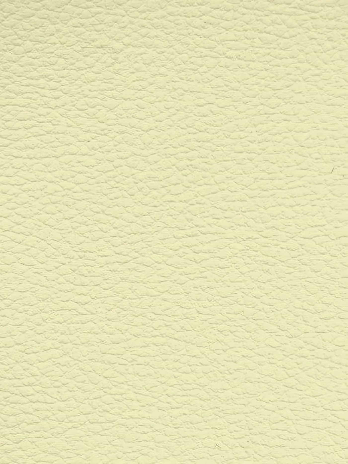 CREAM Premium Auto & Contract Vinyl - Palma Vinyl