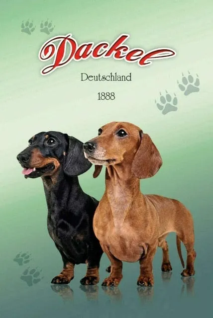 Dachshund Retro Vintage Tin Sign