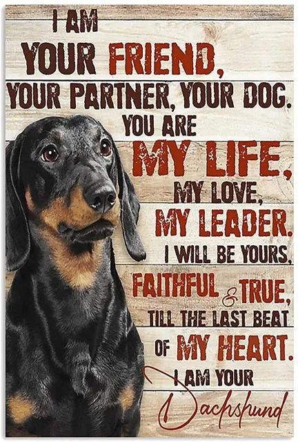 Dachshund Retro Vintage Tin Sign