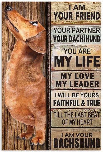 Dachshund Retro Vintage Tin Sign