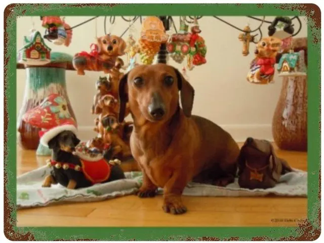 Dachshund Retro Vintage Tin Sign