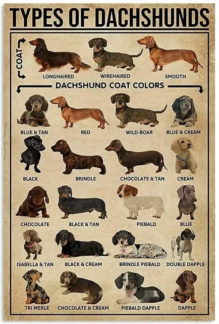 Dachshund Retro Vintage Tin Sign