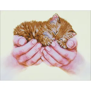 Diamond Dotz ~ Precious Kitten