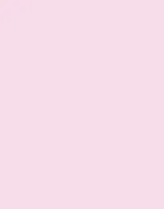 felt - shell