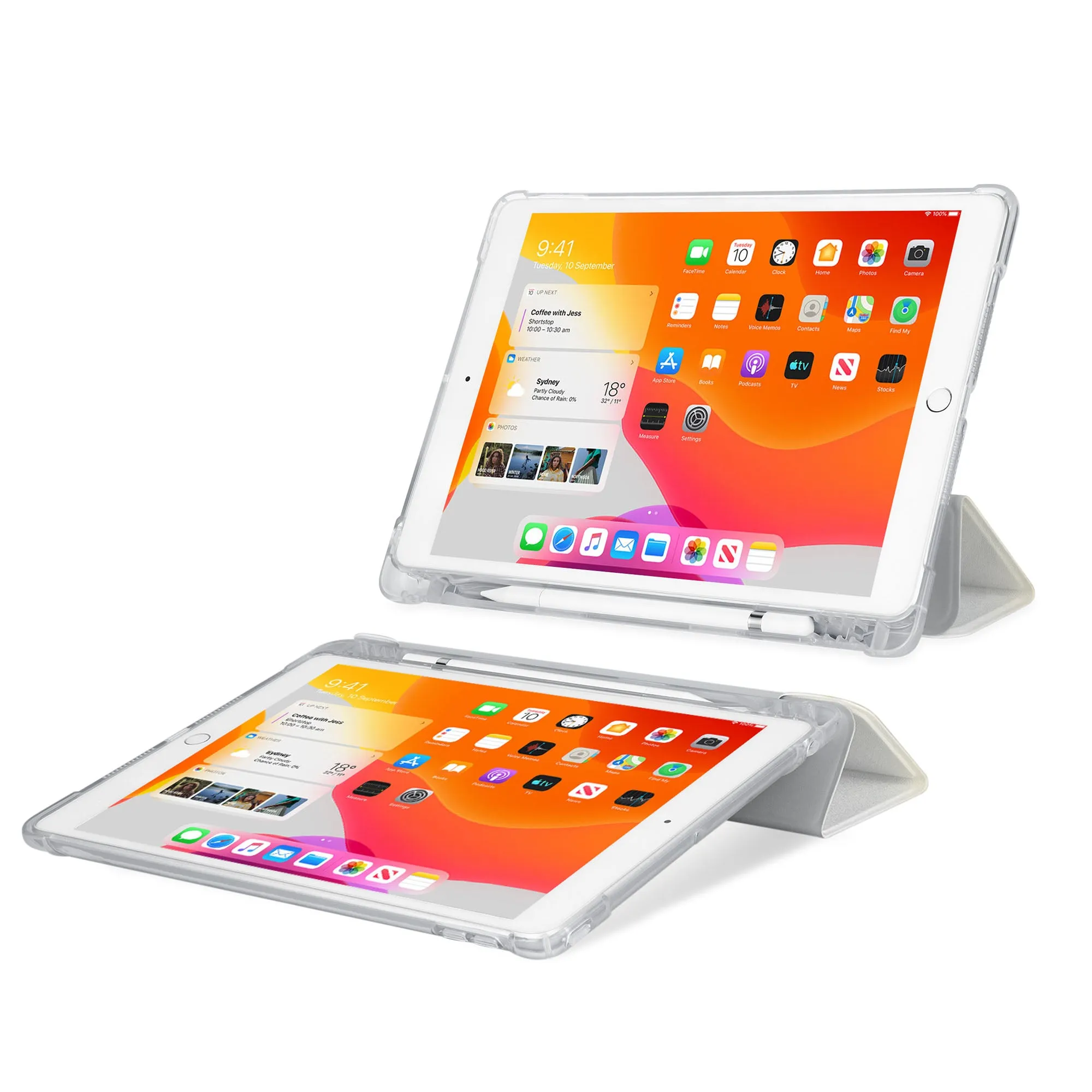 iPad SeeThru Case - Horror