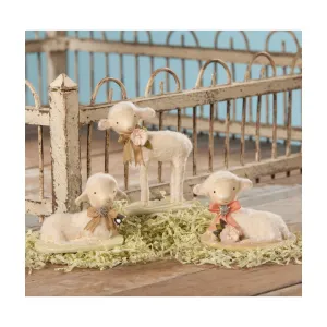 ML8897 - Precious Lamb