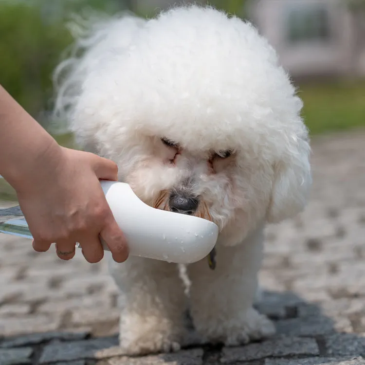 Pet accompanying cup outing water cup portable outdoor travel kettle