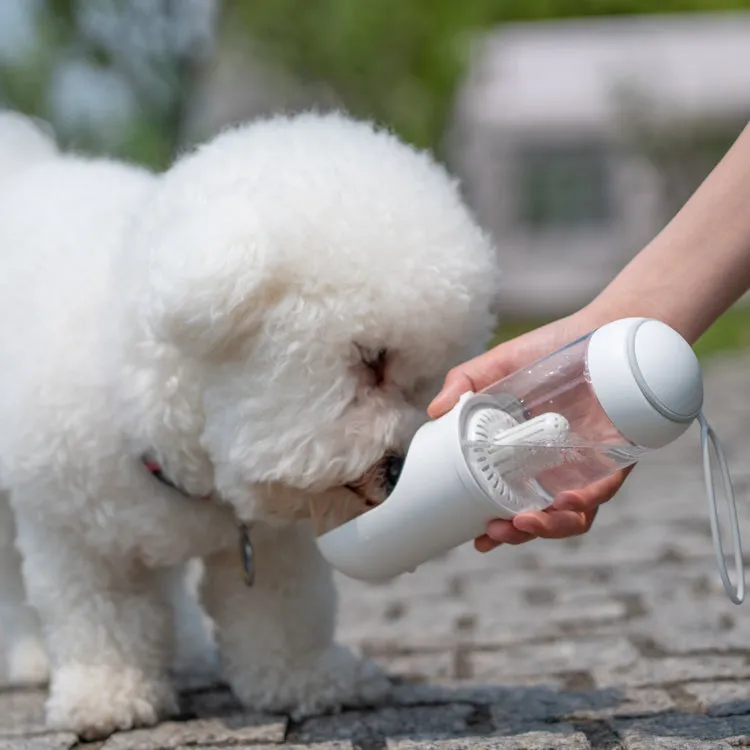 Pet accompanying cup outing water cup portable outdoor travel kettle