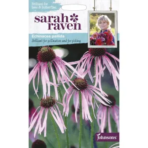 Sarah Raven Echinacea Pallida Seeds
