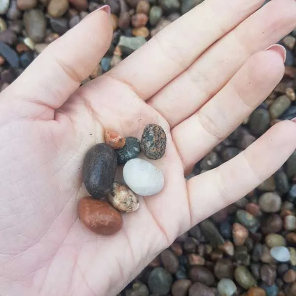 Scottish Mini Pebbles 8-14mm Sample