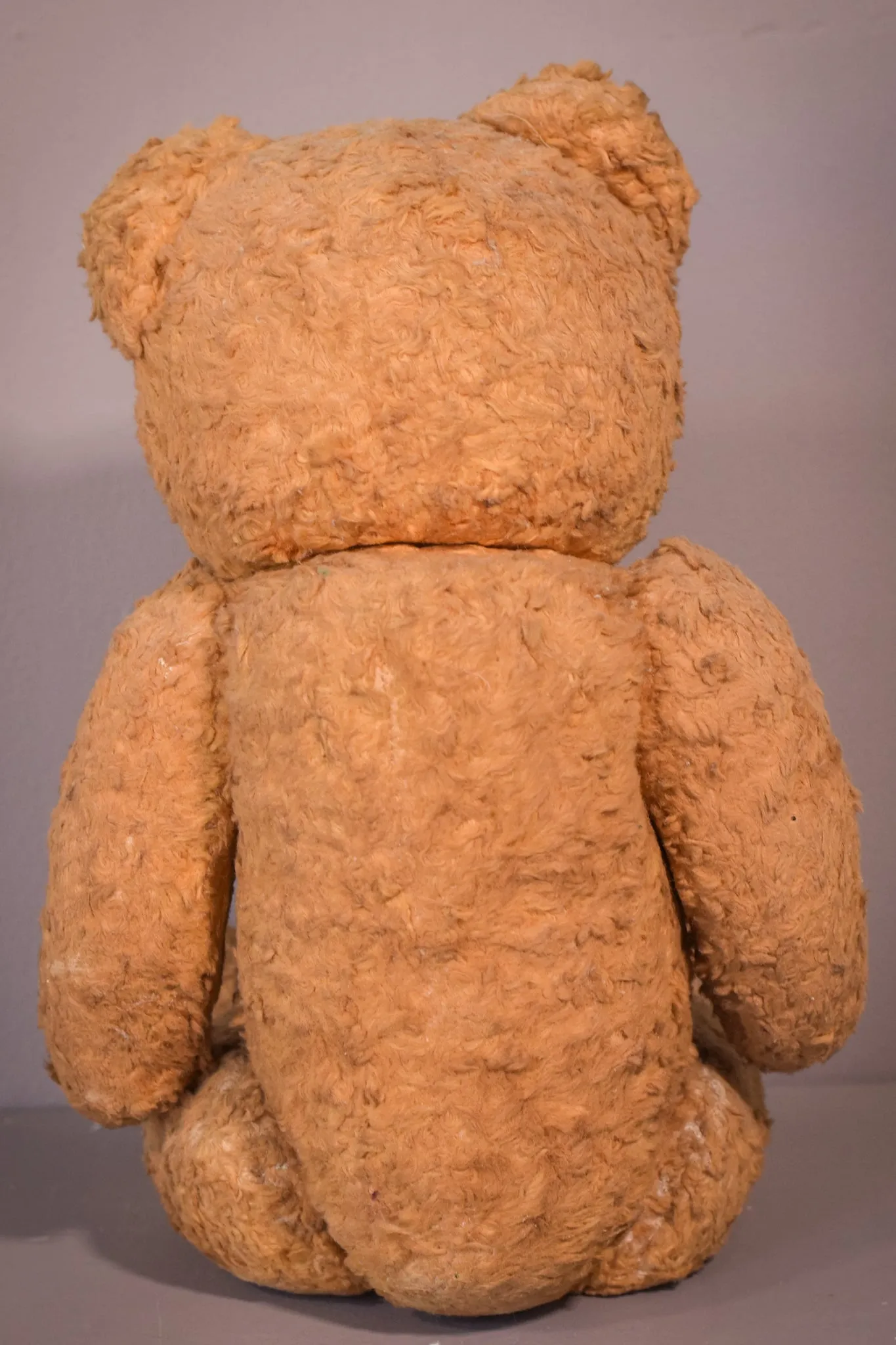 Teddy - Vintage