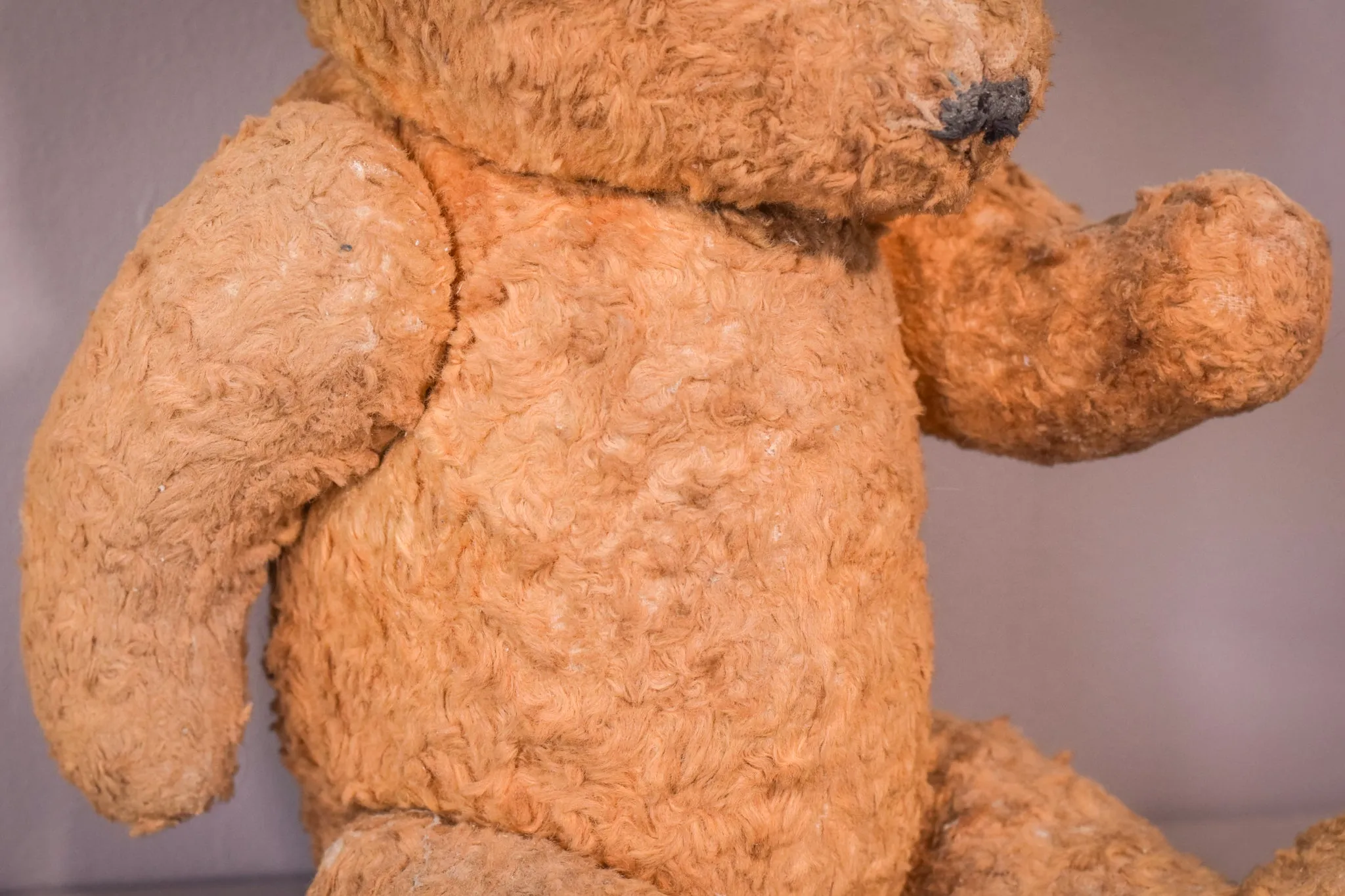 Teddy - Vintage