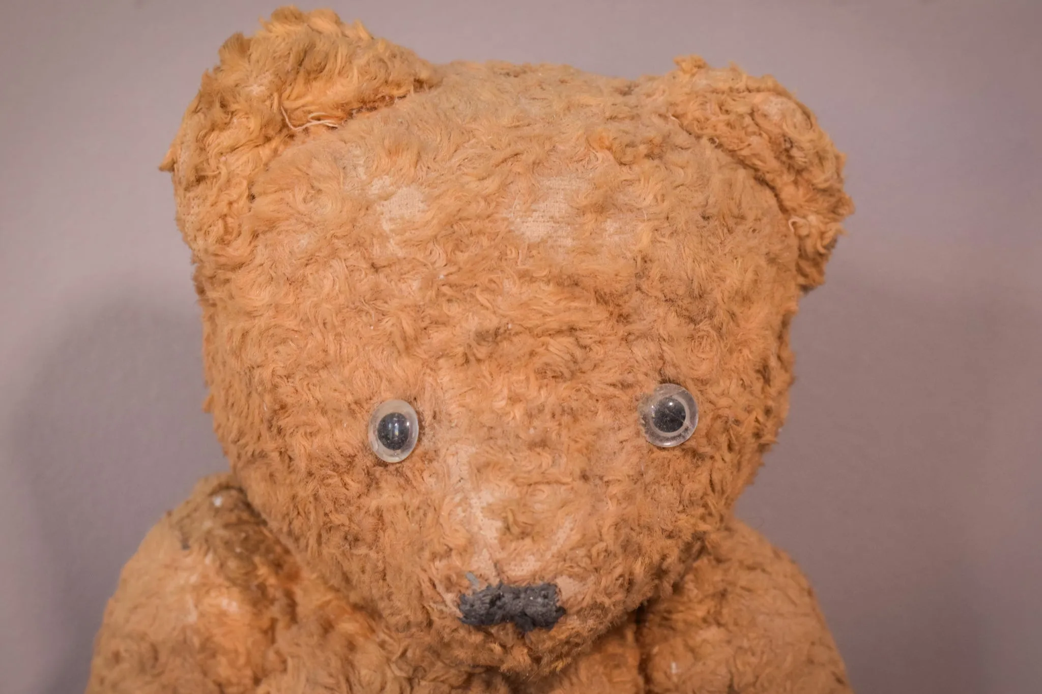 Teddy - Vintage