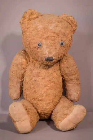 Teddy - Vintage