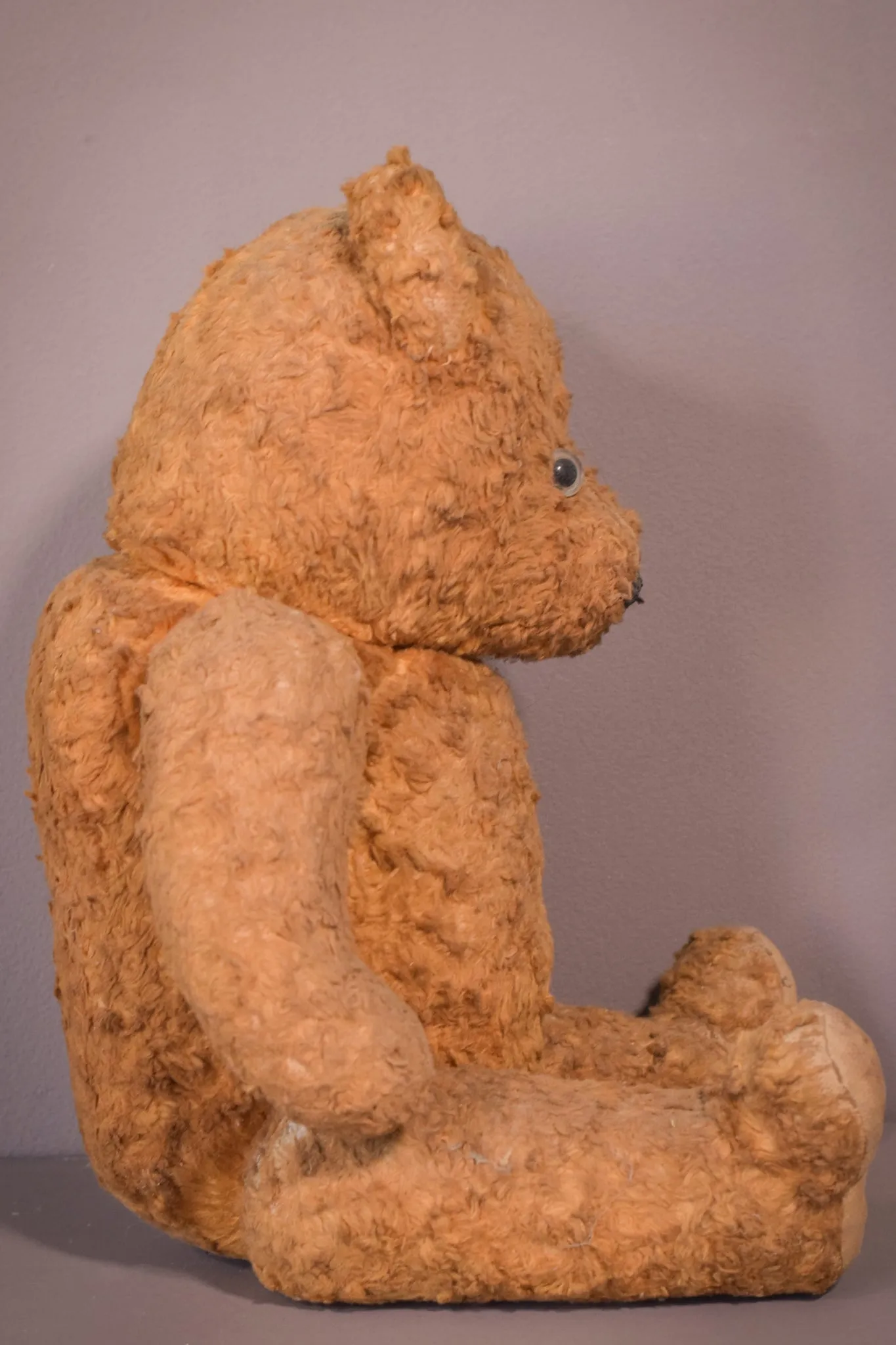 Teddy - Vintage