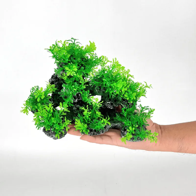 Zhen De Decoration - Green Deco - 186MG